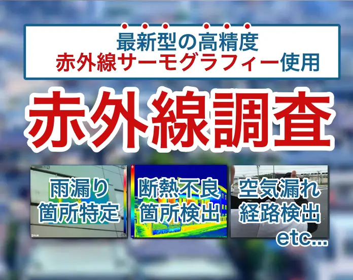 赤外線調査