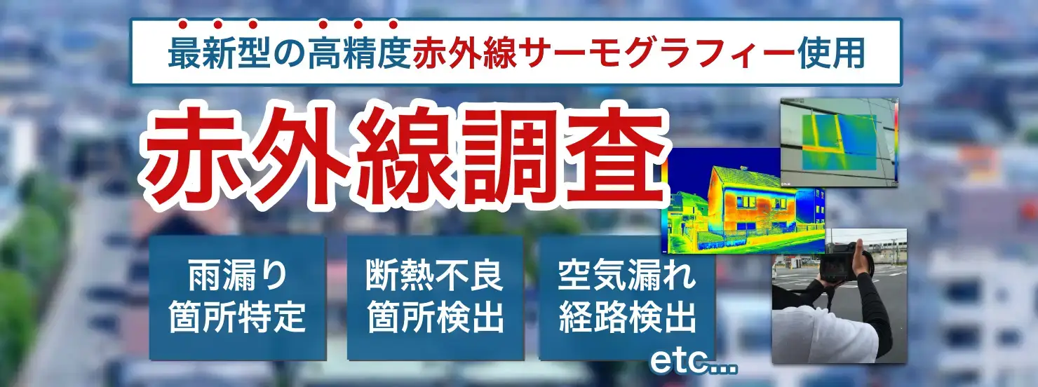 赤外線調査