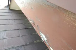 木部の劣化